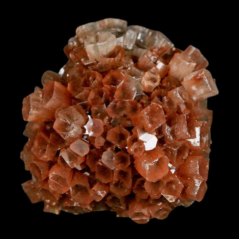 1.8" Aragonite Mineral Two Tone Crystal Cluster Specimen Tazouta Morocco - Fossil Age Minerals