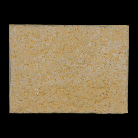 3.1" Pyrolusite Dendritic Limestone Solnhofen Upper Jurassic Age West Germany - Fossil Age Minerals