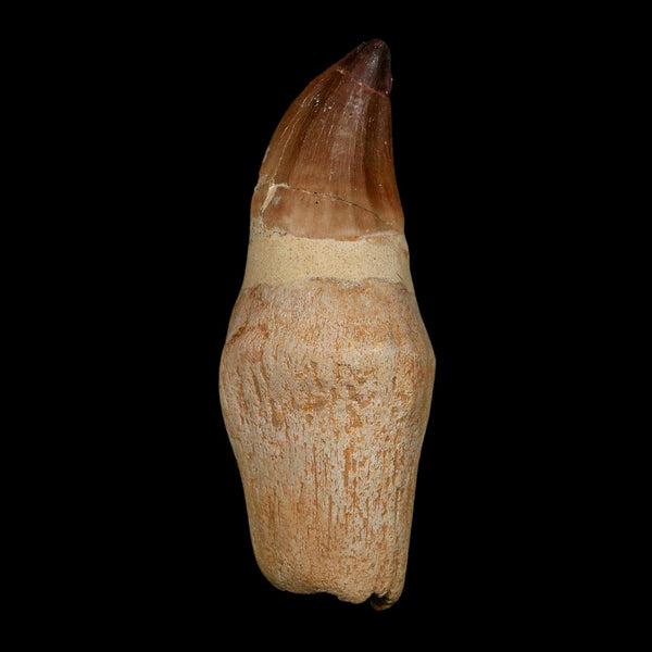 XL 4.7