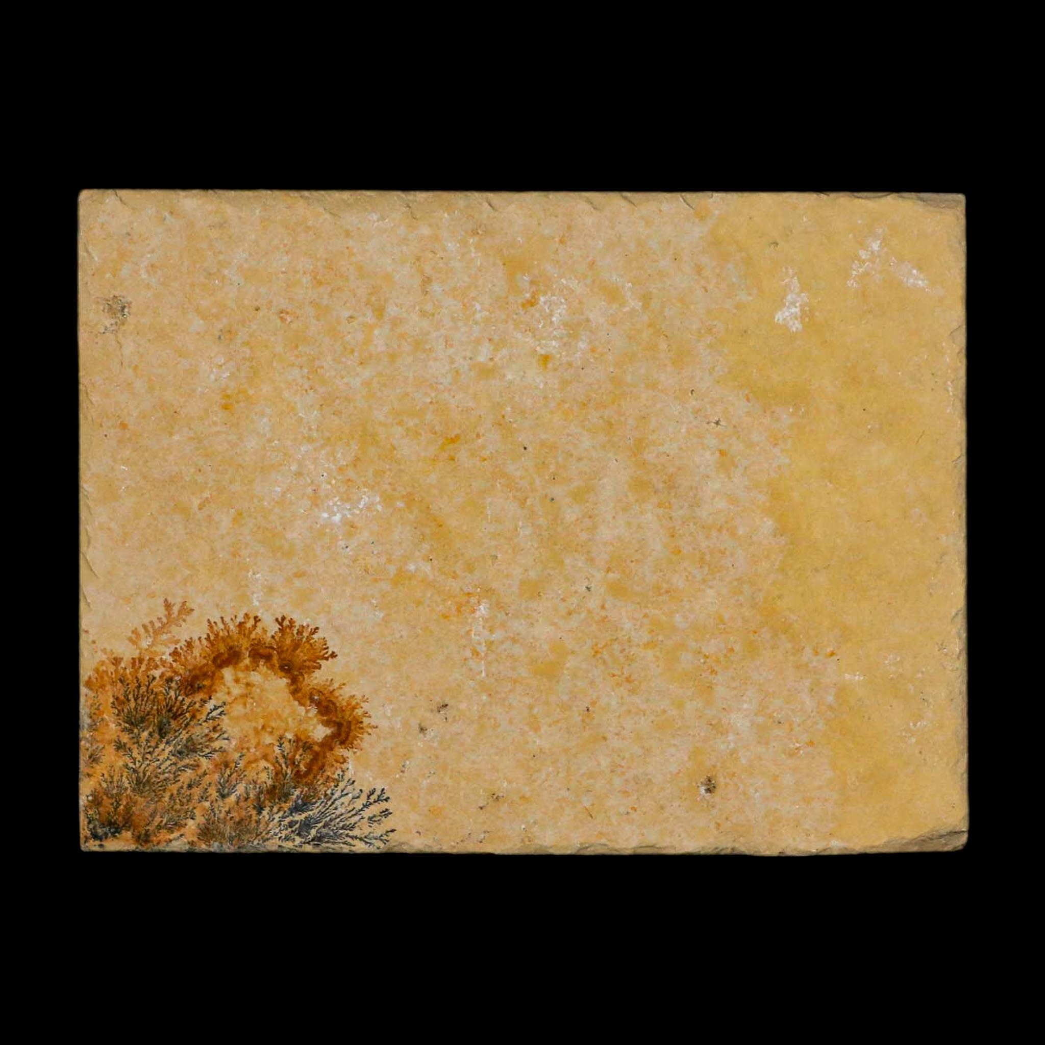 3.1" Pyrolusite Dendritic Limestone Solnhofen Upper Jurassic Age West Germany - Fossil Age Minerals
