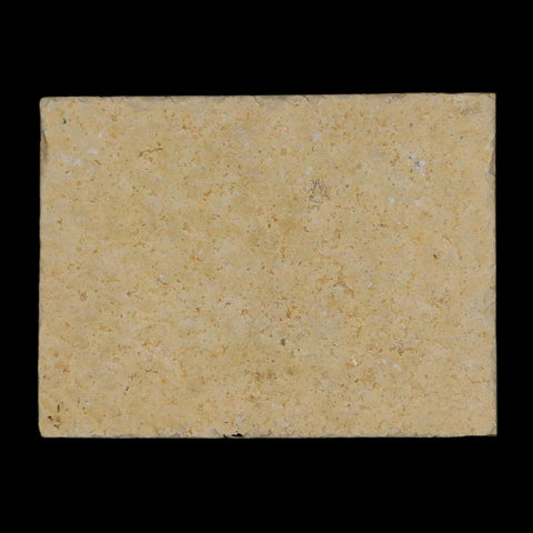 3.1" Pyrolusite Dendritic Limestone Solnhofen Upper Jurassic Age West Germany - Fossil Age Minerals