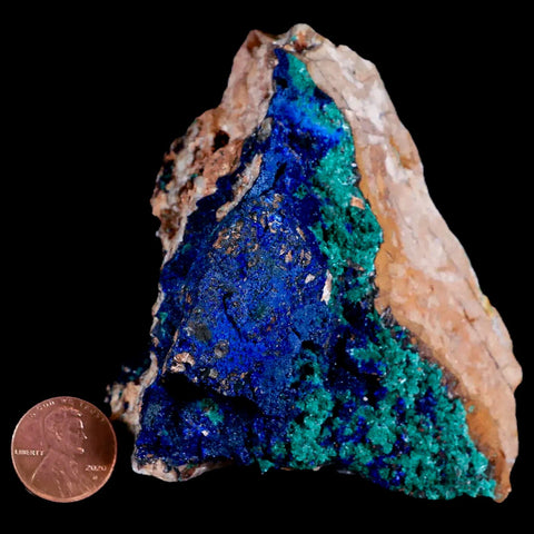 3.7" Azurite Crystals & Malachite On Barite Mineral Specimen Tiznit Morocco - Fossil Age Minerals