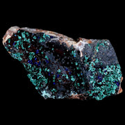 7" Azurite Crystals & Malachite On Barite Mineral Specimen Tiznit Morocco