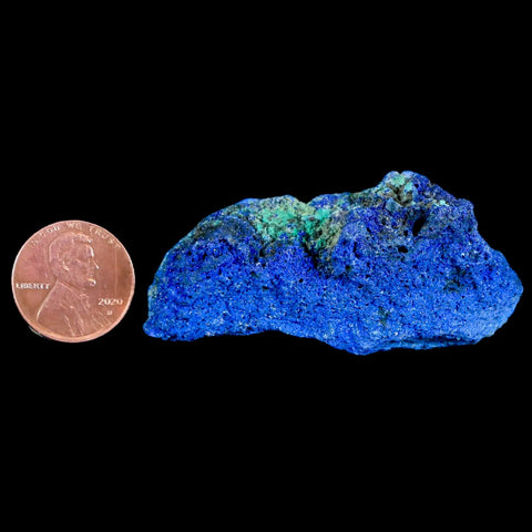 2.3" Azurite Crystals & Malachite On Barite Mineral Specimen Tiznit Morocco - Fossil Age Minerals