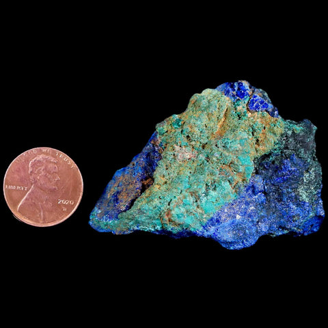 2.1" Azurite Crystals & Malachite On Barite Mineral Specimen Tiznit Morocco - Fossil Age Minerals