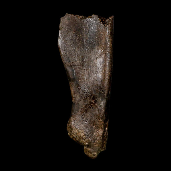 5.9