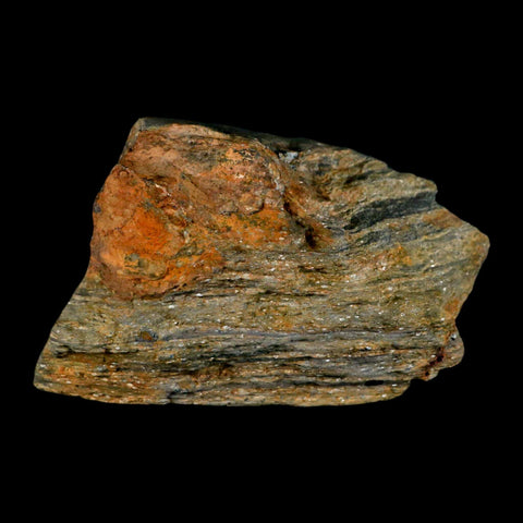 3.5" Rare Andalucite Var Chiastolite Mineral Specimen Asturias Province Boal Spain - Fossil Age Minerals