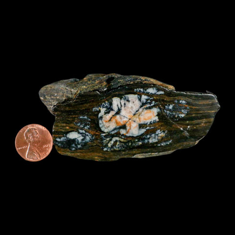 3.3" Rare Andalucite Var Chiastolite Mineral Specimen Asturias Province Boal Spain - Fossil Age Minerals