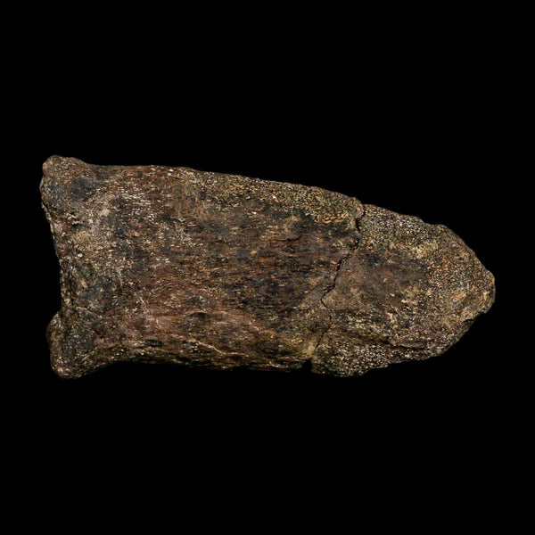 6.1