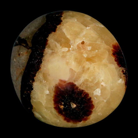 2" Septarian Dragon Palm Stone Mineral Specimen Healing Madagascar - Fossil Age Minerals