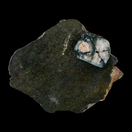 3.7" Rare Andalucite Var Chiastolite Mineral Specimen Asturias Province Boal Spain