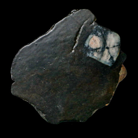 3.7" Rare Andalucite Var Chiastolite Mineral Specimen Asturias Province Boal Spain - Fossil Age Minerals