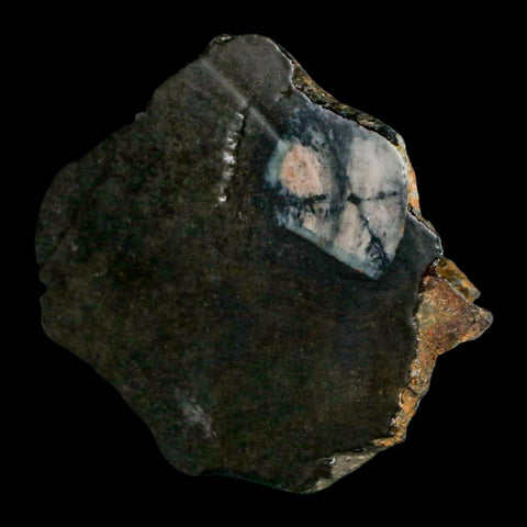 3.7" Rare Andalucite Var Chiastolite Mineral Specimen Asturias Province Boal Spain - Fossil Age Minerals