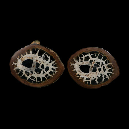XL 4.1" Septarian Dragon Stone Polished Halves Nodule Mineral Specimen Morocco