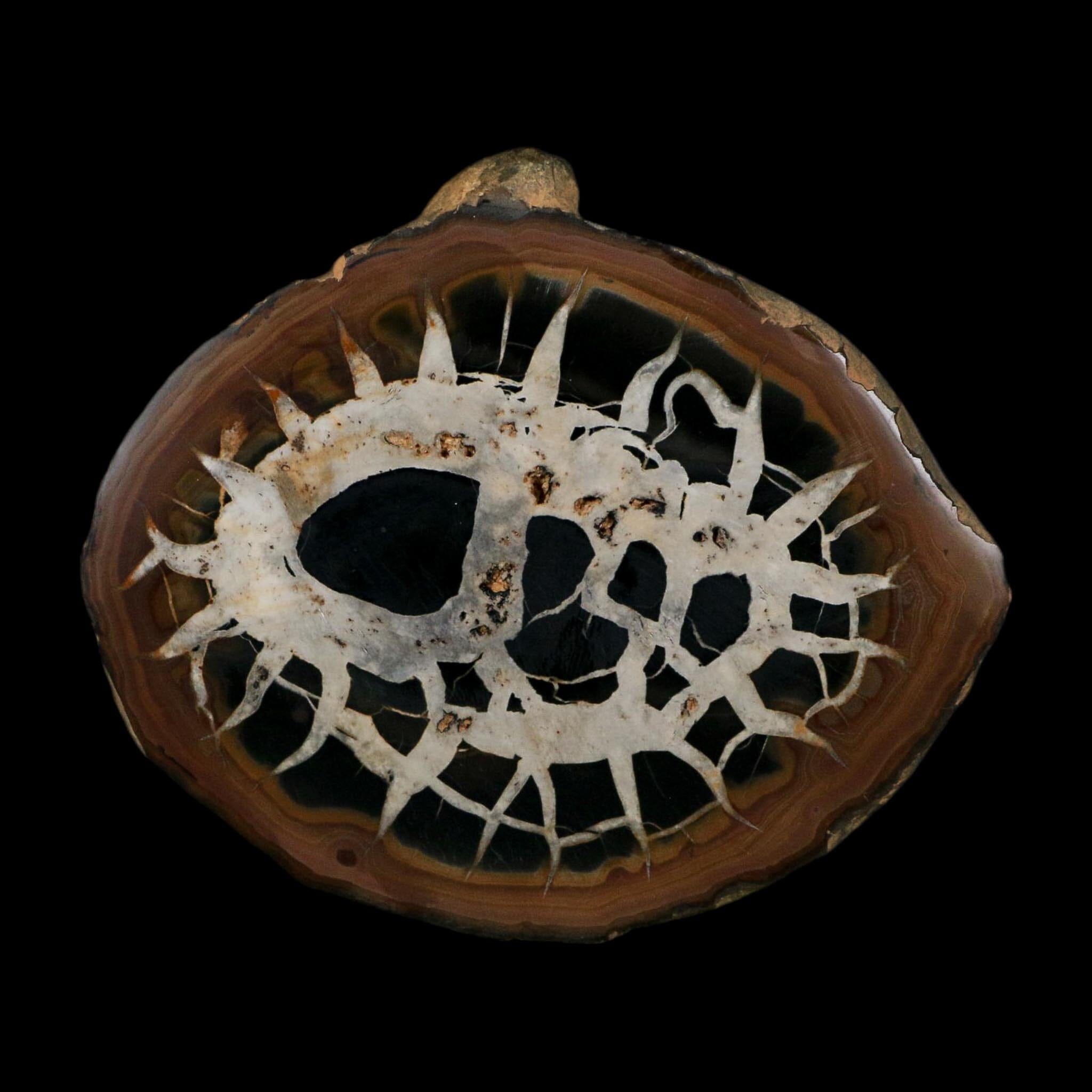 XL 4.1" Septarian Dragon Stone Polished Halves Nodule Mineral Specimen Morocco - Fossil Age Minerals