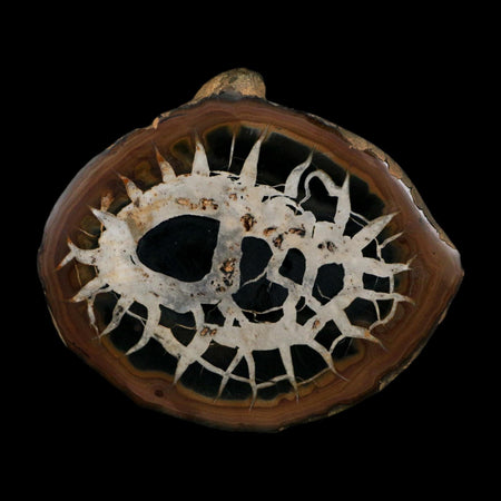 XL 4.1" Septarian Dragon Stone Polished Halves Nodule Mineral Specimen Morocco