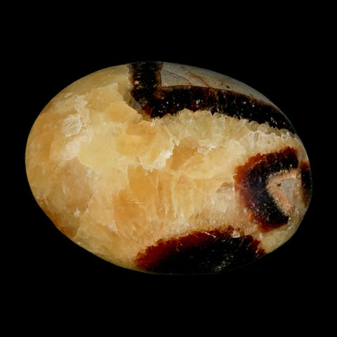 2.2" Septarian Dragon Palm Stone Mineral Specimen Healing Madagascar - Fossil Age Minerals