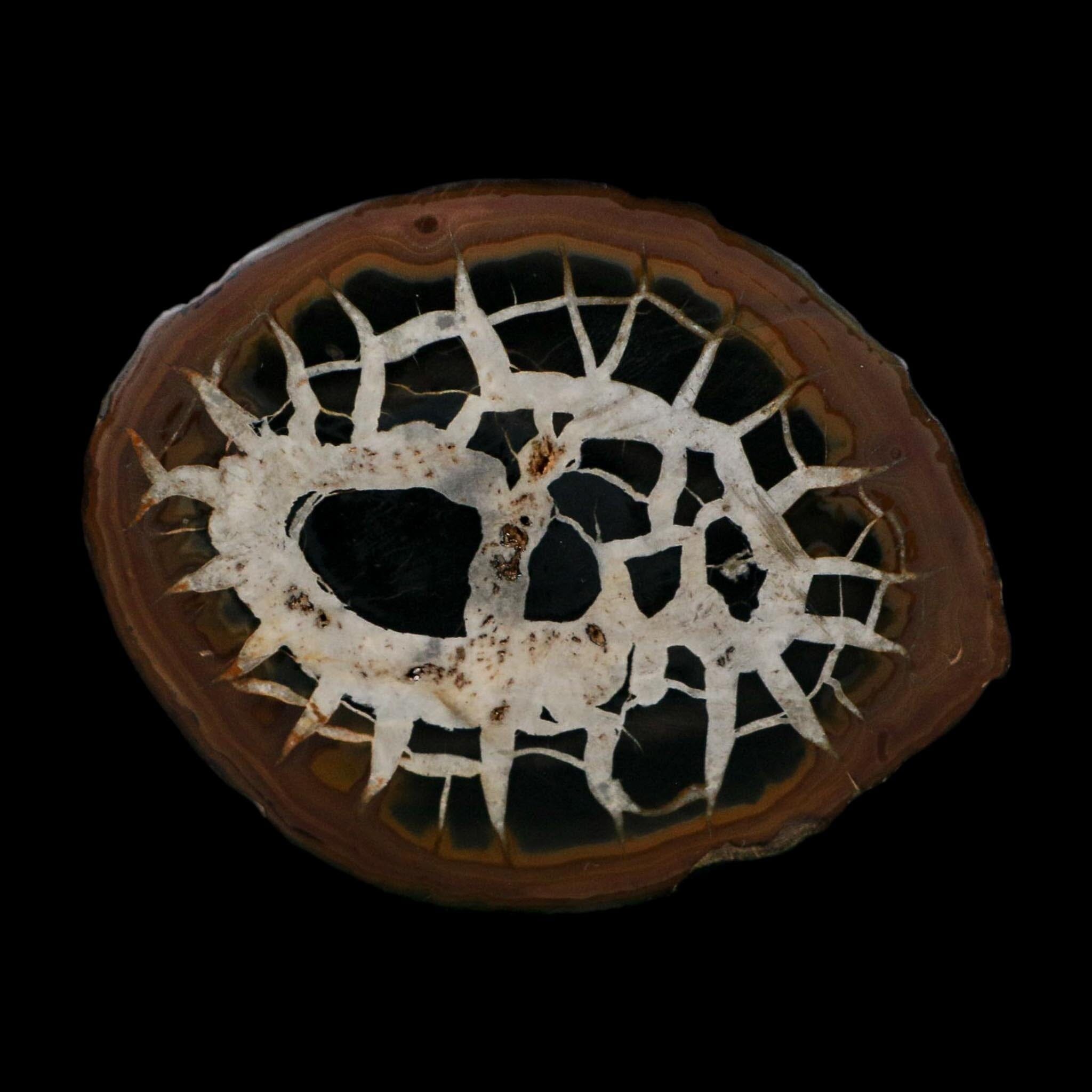 XL 4.1" Septarian Dragon Stone Polished Halves Nodule Mineral Specimen Morocco - Fossil Age Minerals