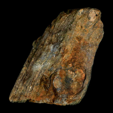 3.7" Rare Andalucite Var Chiastolite Mineral Specimen Asturias Province Boal Spain - Fossil Age Minerals