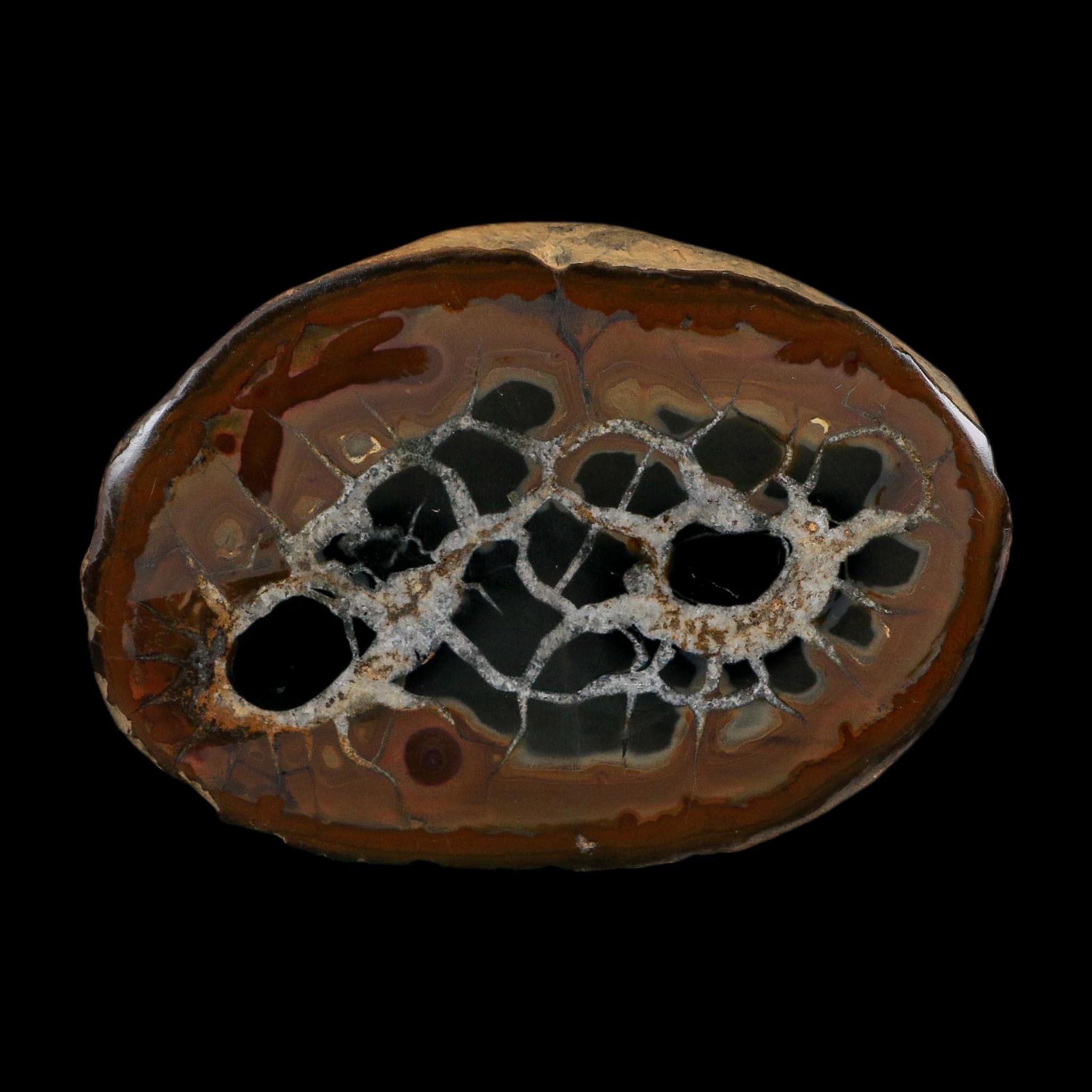 XL 4.1" Septarian Dragon Stone Polished Halves Nodule Mineral Specimen Morocco - Fossil Age Minerals