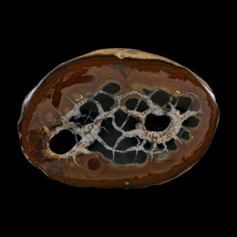 XL 4.1" Septarian Dragon Stone Polished Halves Nodule Mineral Specimen Morocco