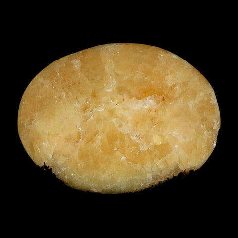 1.9" Septarian Dragon Palm Stone Mineral Specimen Healing Madagascar - Fossil Age Minerals