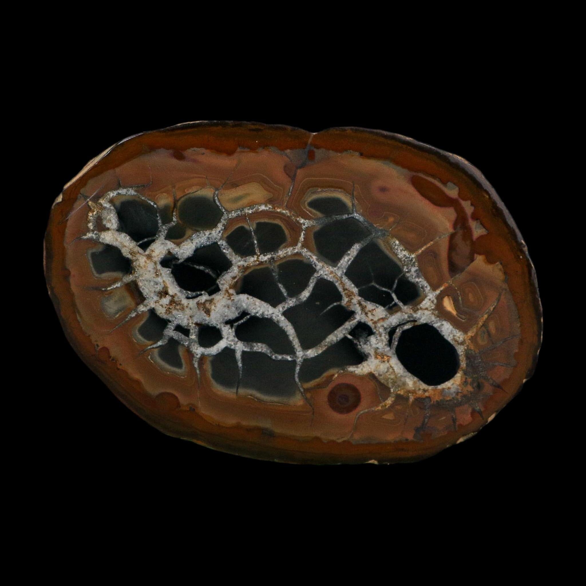 XL 4.1" Septarian Dragon Stone Polished Halves Nodule Mineral Specimen Morocco - Fossil Age Minerals