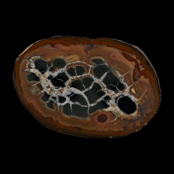 XL 4.1