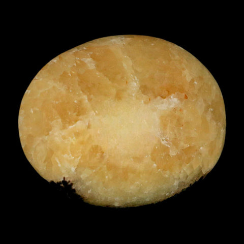 1.9" Septarian Dragon Palm Stone Mineral Specimen Healing Madagascar - Fossil Age Minerals