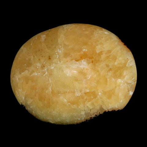 1.9" Septarian Dragon Palm Stone Mineral Specimen Healing Madagascar - Fossil Age Minerals