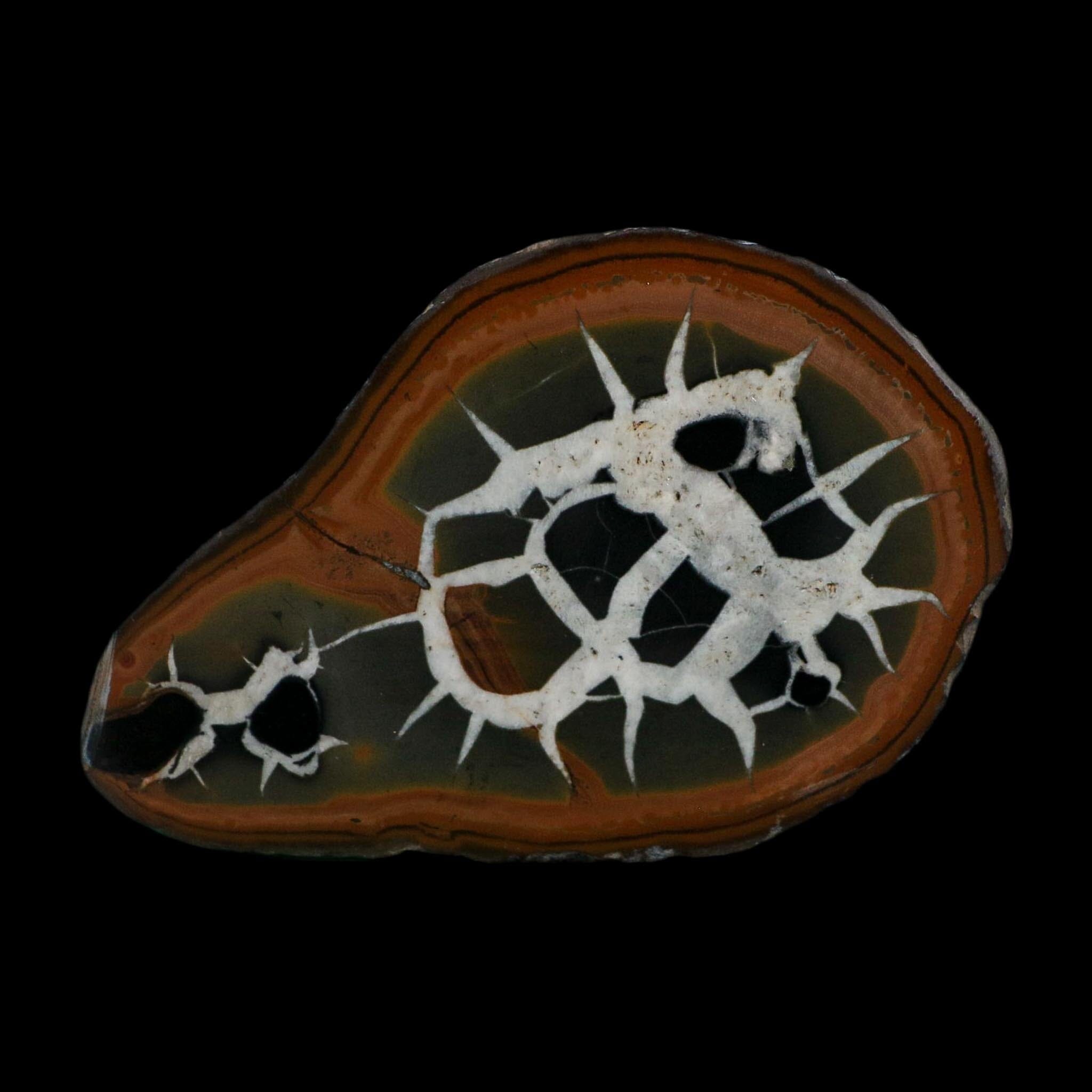 XL 3.5" Septarian Dragon Stone Polished Halves Nodule Mineral Specimen Morocco - Fossil Age Minerals