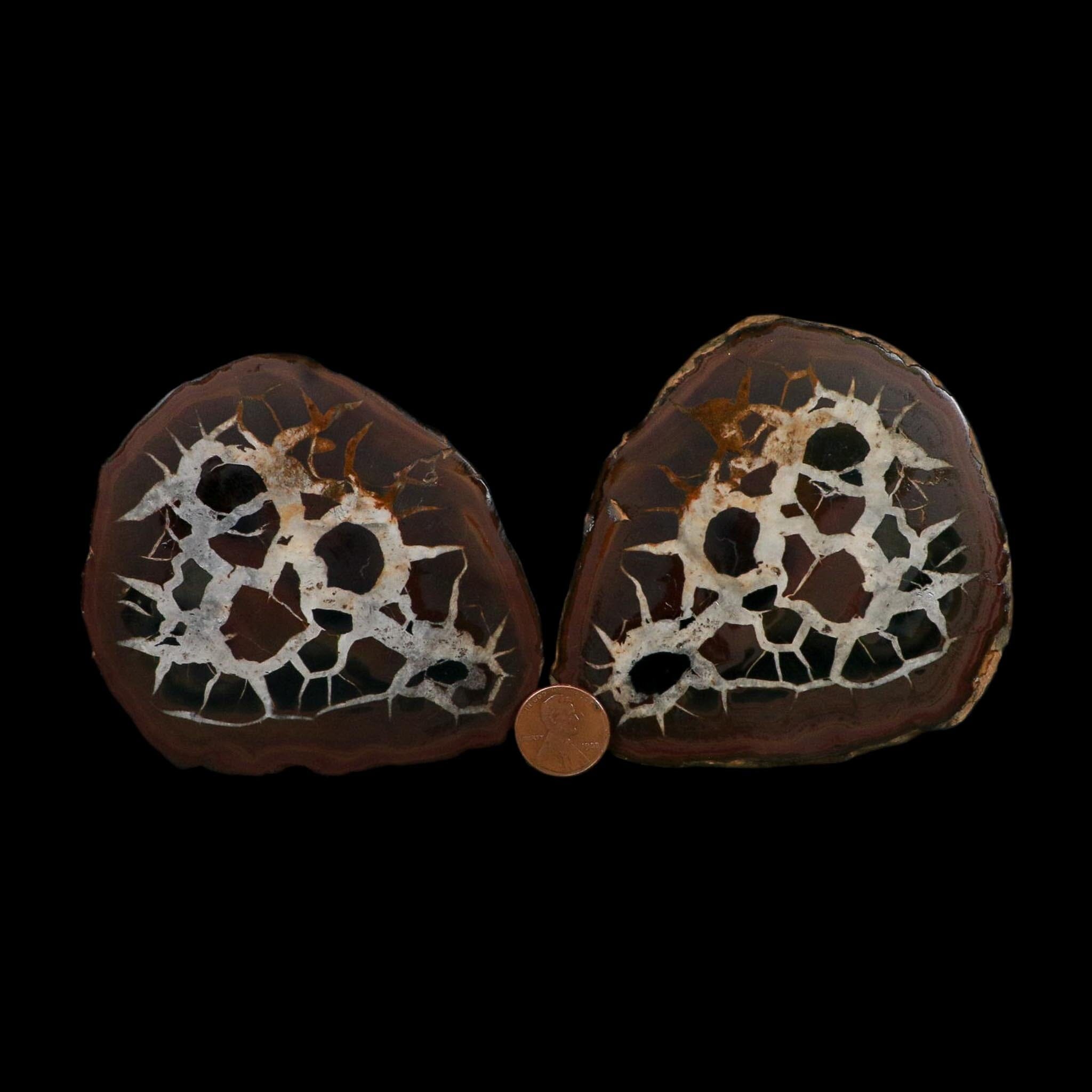 XL 3.9" Septarian Dragon Stone Polished Halves Nodule Mineral Specimen Morocco - Fossil Age Minerals