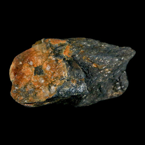2" Rare Andalucite Var Chiastolite Mineral Specimen Asturias Province Boal Spain - Fossil Age Minerals