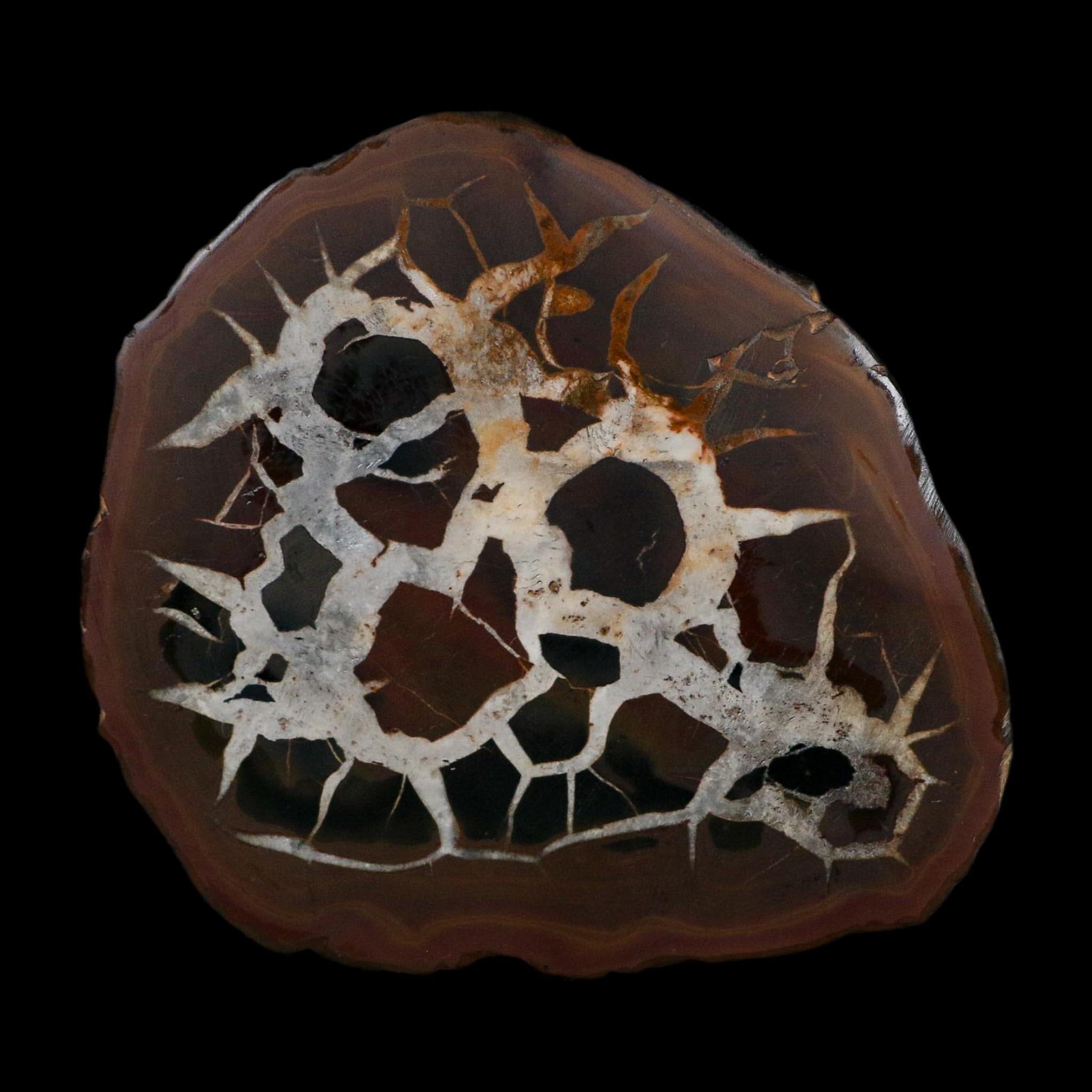 XL 3.9" Septarian Dragon Stone Polished Halves Nodule Mineral Specimen Morocco - Fossil Age Minerals