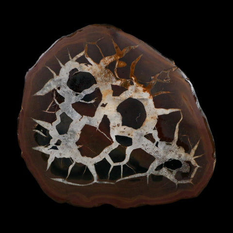 XL 3.9" Septarian Dragon Stone Polished Halves Nodule Mineral Specimen Morocco