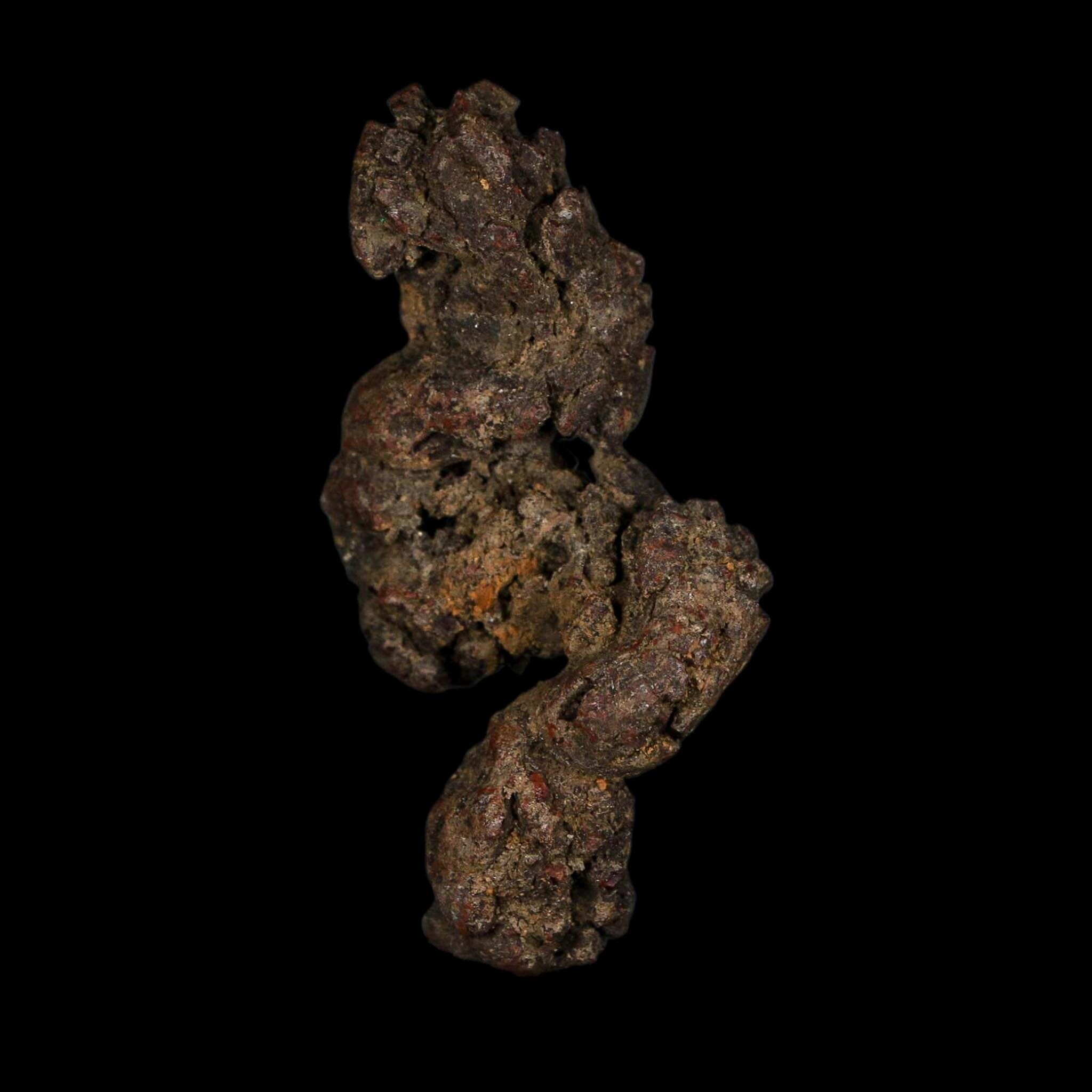 2.4" Prehistoric Coprolite Fossil Specimen Poop Dung Miocene Age Madagascar - Fossil Age Minerals