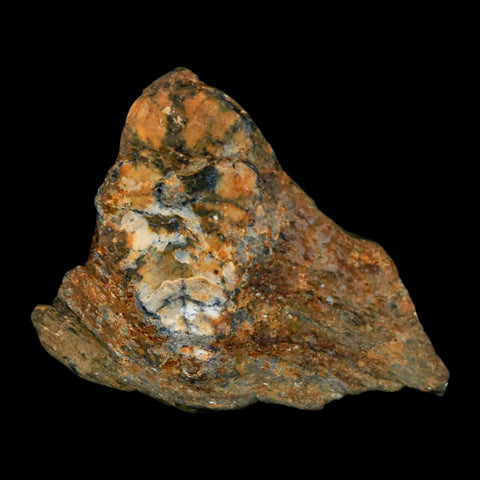 2.1" Rare Andalucite Var Chiastolite Mineral Specimen Asturias Province Boal Spain - Fossil Age Minerals