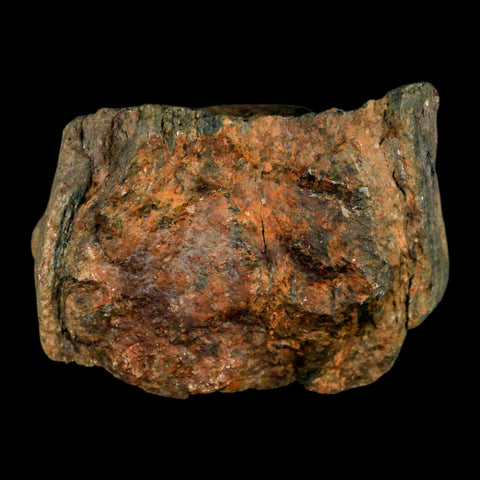 2.6" Rare Andalucite Var Chiastolite Mineral Specimen Asturias Province Boal Spain - Fossil Age Minerals