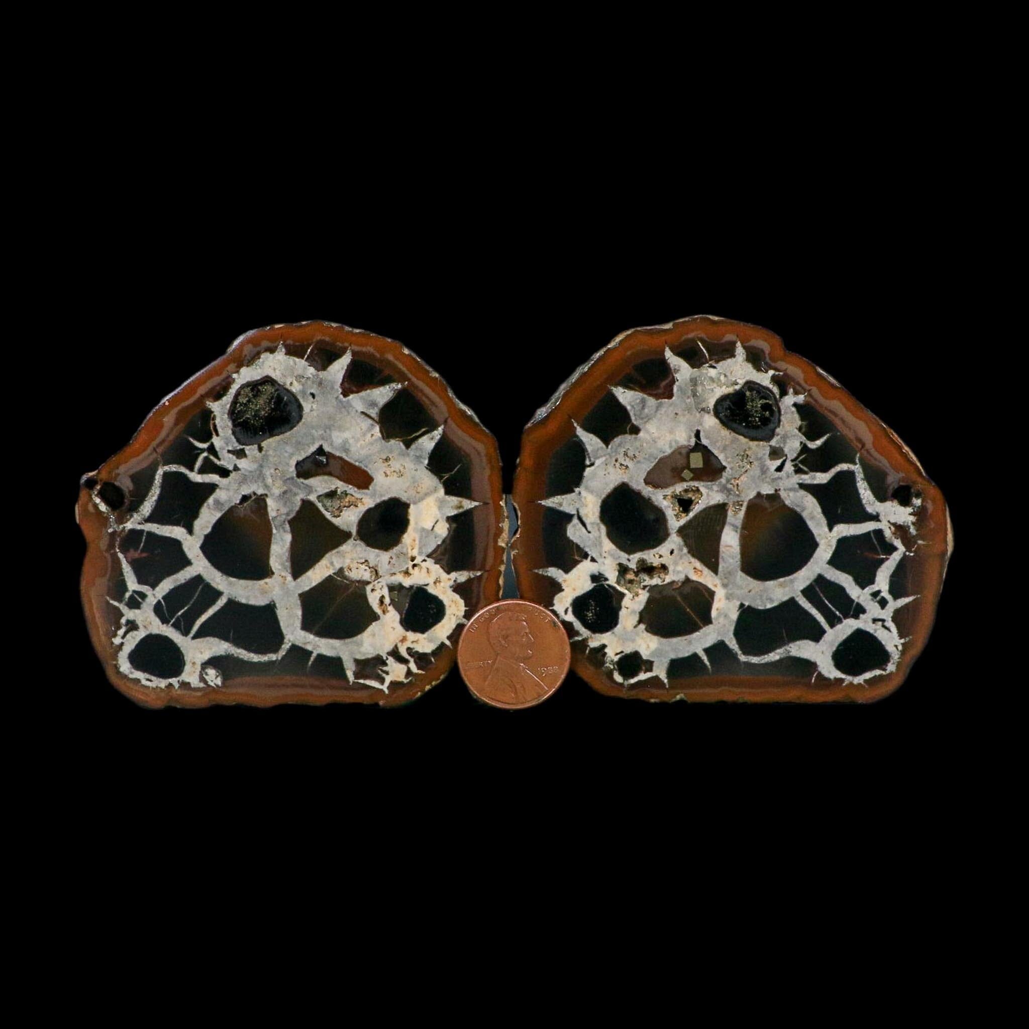 3" Septarian Dragon Stone Polished Halves Nodule Mineral Specimen Morocco - Fossil Age Minerals