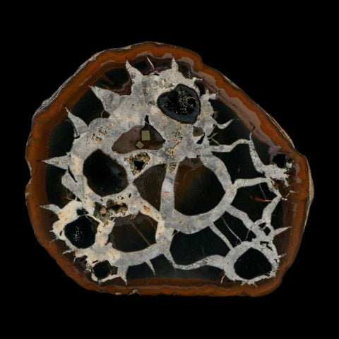 3" Septarian Dragon Stone Polished Halves Nodule Mineral Specimen Morocco