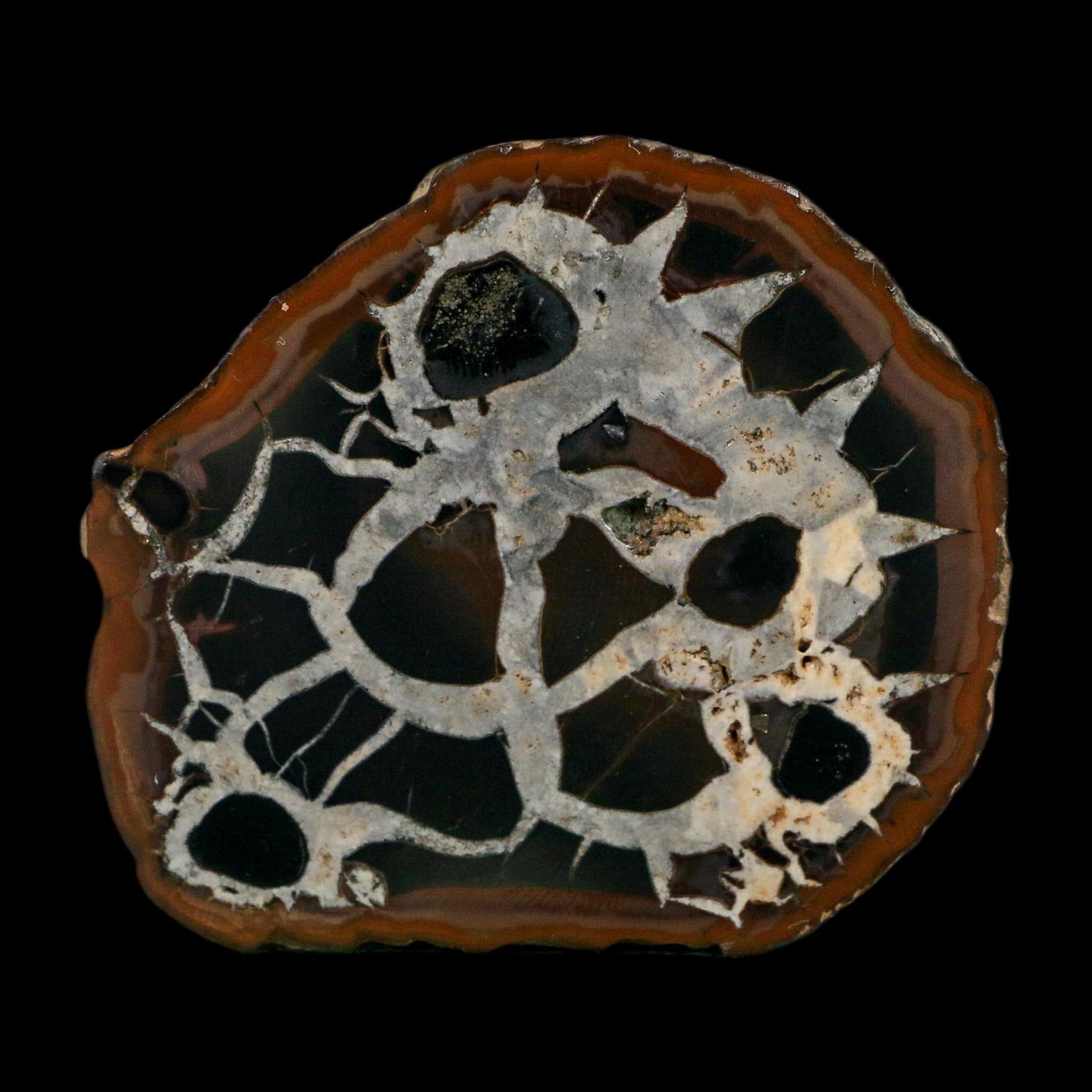 3" Septarian Dragon Stone Polished Halves Nodule Mineral Specimen Morocco - Fossil Age Minerals