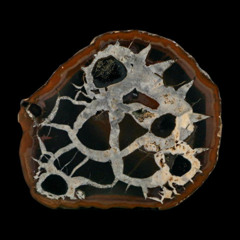 3" Septarian Dragon Stone Polished Halves Nodule Mineral Specimen Morocco