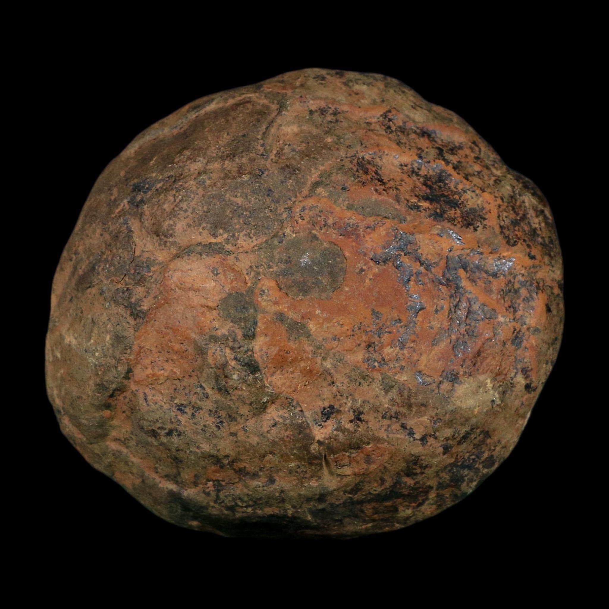 3.1" Septarian Dragon Stone Polished Halves Nodule Mineral Specimen Morocco - Fossil Age Minerals