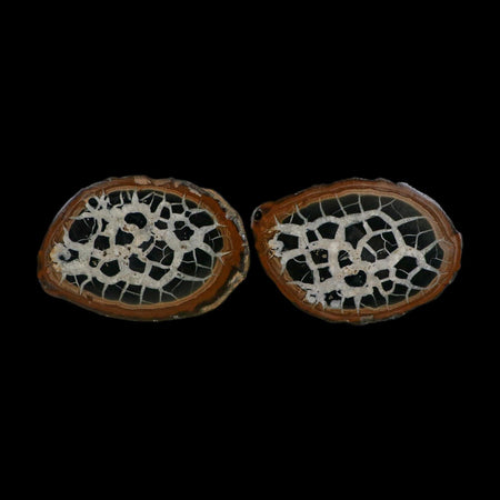 XL 3.7" Septarian Dragon Stone Polished Halves Nodule Mineral Specimen Morocco
