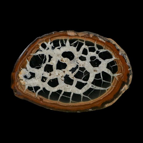 XL 3.7" Septarian Dragon Stone Polished Halves Nodule Mineral Specimen Morocco
