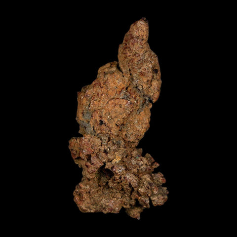 3" Prehistoric Coprolite Fossil Specimen Poop Dung Miocene Age Madagascar - Fossil Age Minerals