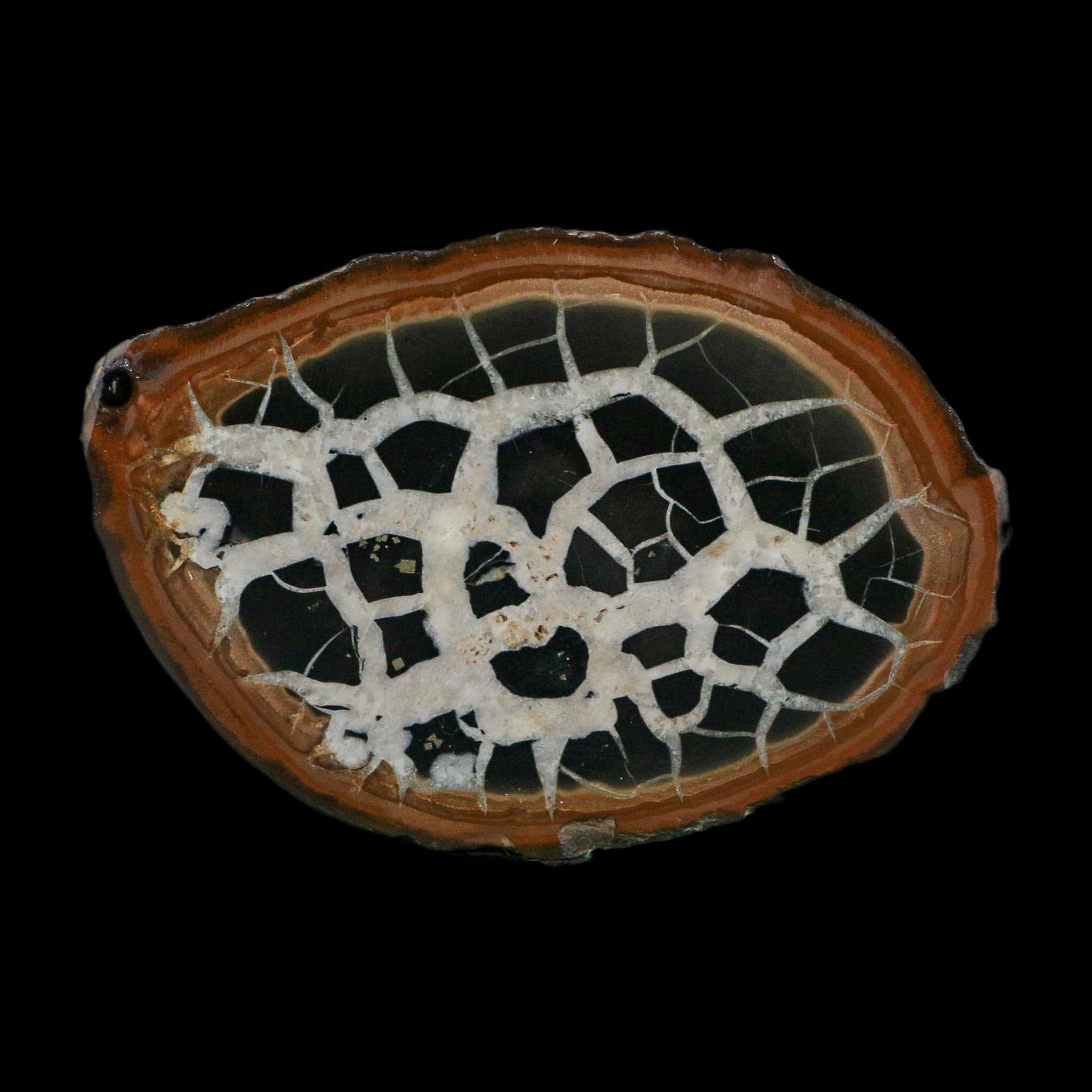 XL 3.7" Septarian Dragon Stone Polished Halves Nodule Mineral Specimen Morocco - Fossil Age Minerals