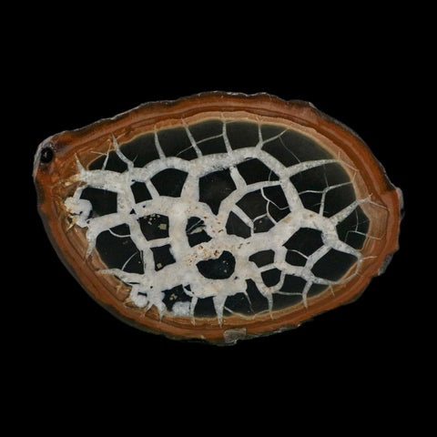 XL 3.7" Septarian Dragon Stone Polished Halves Nodule Mineral Specimen Morocco