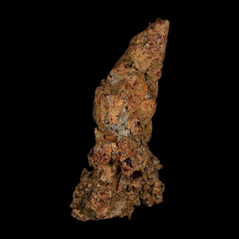 3" Prehistoric Coprolite Fossil Specimen Poop Dung Miocene Age Madagascar - Fossil Age Minerals