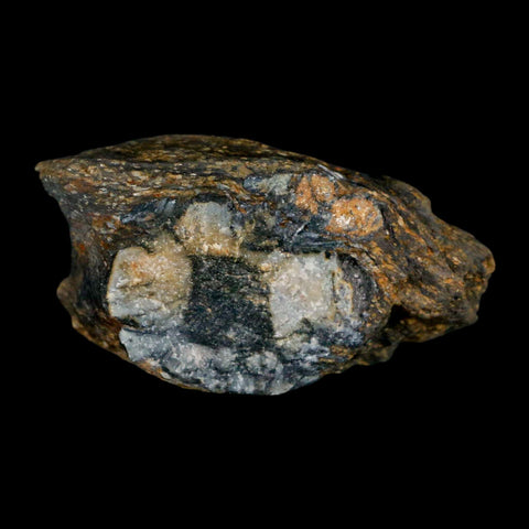2.3" Rare Andalucite Var Chiastolite Mineral Specimen Asturias Province Boal Spain - Fossil Age Minerals